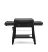 Traeger Canada Traeger Irontop 2-Burner Griddle TF2NN50DNC Barbecue Finished - Griddle