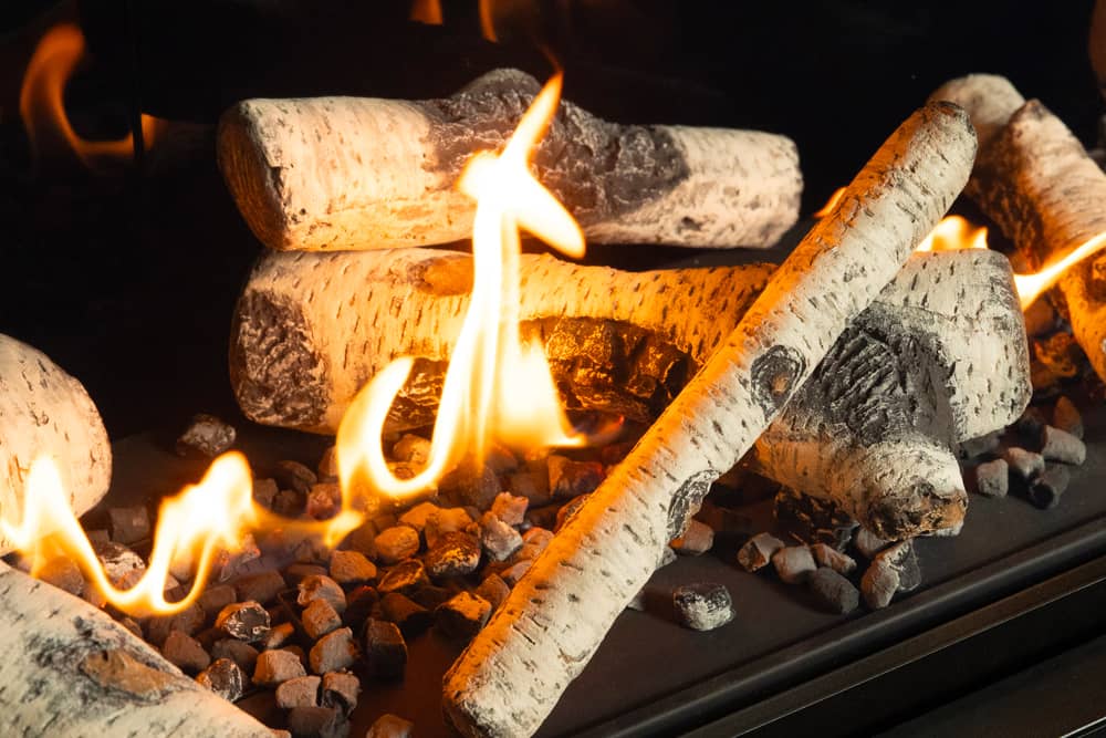 Valor Valor Birch Log Kit (LT2 / L2 / LX2) - 1705BLKV2 1705BLKV2 Fireplace Accessories