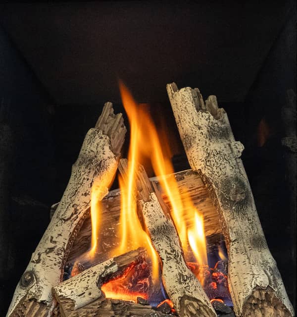 Valor Valor Birch Logs (P2 Gas Fireplace) - 205BLK 205BLK Fireplace Accessories
