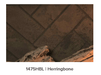 Valor Valor Herringbone Liner (H6 Series) - 1475HBL 1475HBL Fireplace Finished - Gas