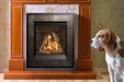 Valor Valor P2 Gas Fireplace Fireplace Finished - Gas