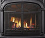 Vermont Castings Vermont Castings Intrepid Direct Vent Gas Stove (IntelliFire Touch ver.) Fireplace Finished - Gas