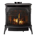 Vermont Castings Vermont Castings Stardance Direct Vent Gas Stove (IntelliFire ver.) Fireplace Finished - Gas