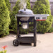 Weber Weber Performer 22" Smart Charcoal Grill 1501870 Barbecue Finished - Charcoal