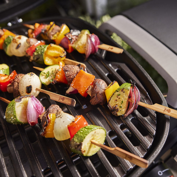 Weber Weber Q 1000N Gas Grill (Liquid Propane) 1502193 Barbecue Finished - Gas