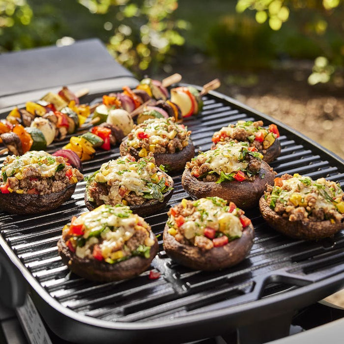 Weber Weber Q 1200N Gas Grill (Liquid Propane) Barbecue Finished - Gas