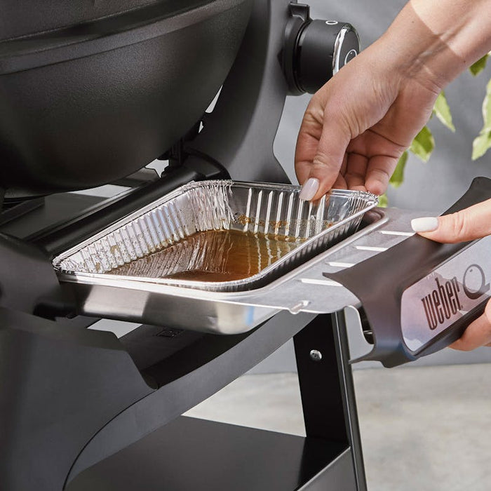 Weber Weber Q 1200N Gas Grill (Liquid Propane) Barbecue Finished - Gas