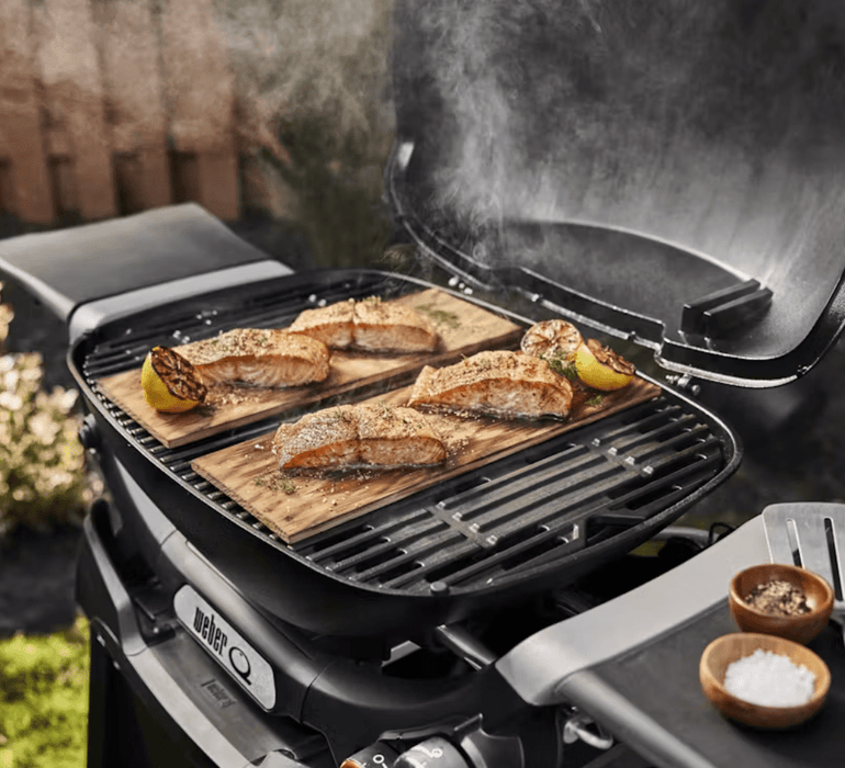 Weber Q Indirect Grilling Weber Bbq Q Weber Q 2800N+ Gas Grill