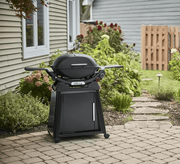 Weber Weber Q 2800N+ Gas Grill with Stand Barbecue Finished - Gas