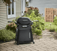 Weber Weber Q 2800N+ Gas Grill with Stand Barbecue Finished - Gas