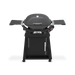 Weber Weber Q 2800N+ Gas Grill with Stand Charcoal Grey 1500393 Barbecue Finished - Gas