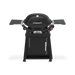 Weber Weber Q 2800N+ Gas Grill with Stand Midnight Black 1500390 Barbecue Finished - Gas