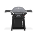 Weber Weber Q 2800N+ Gas Grill with Stand Smoke Grey 1500392 Barbecue Finished - Gas