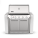 Weber Weber Summit SB38 S Built-In Gas Grill Barbecue Finished - Gas