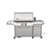 Weber Weber Summit Smart FS38X S Gas Grill (Stainless Steel) Barbecue Finished - Gas