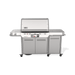 Weber Weber Summit Smart FS38X S Gas Grill (Stainless Steel) Barbecue Finished - Gas