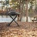 Weber Weber Traveler Compact Portable Gas Grill 1500460 Barbecue Finished - Gas
