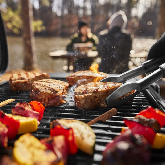 Weber Weber Traveler Compact Portable Gas Grill 1501741 Barbecue Finished - Gas