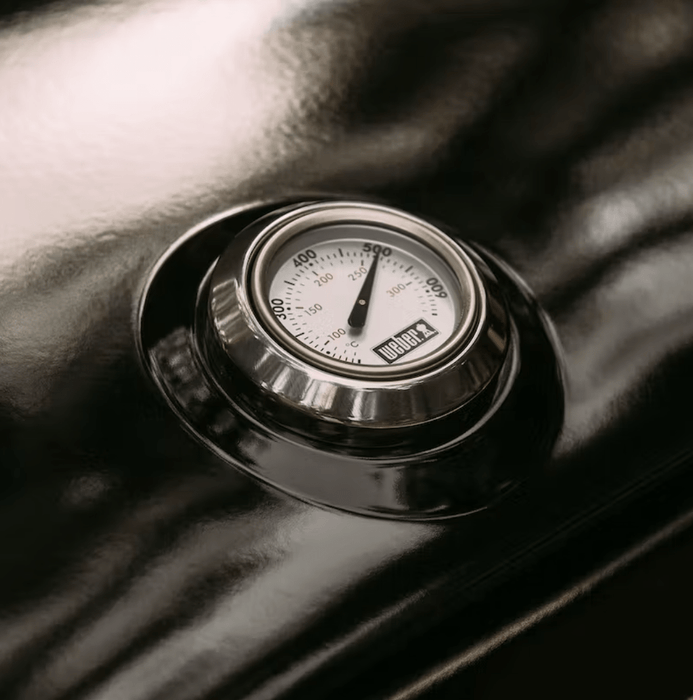 Weber Weber Traveler RV Portable Gas Grill 9011701 Barbecue Finished - Gas 077924162732